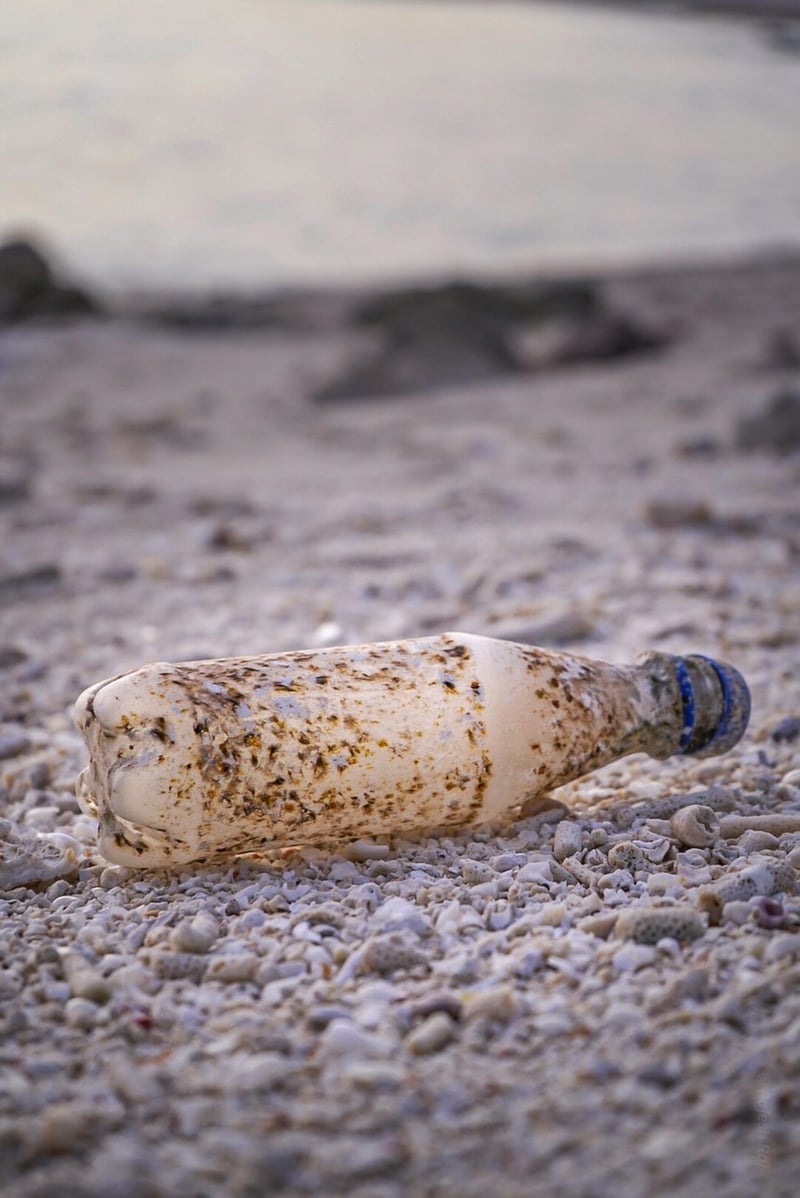 Plastic Bottle Art